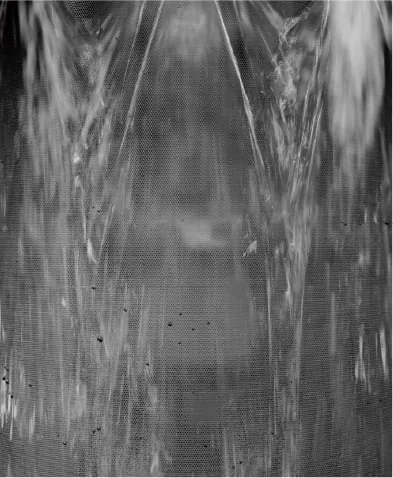 NP-45EF1WPEのフィルターに洗浄水が流れて汚れを押し流している様子