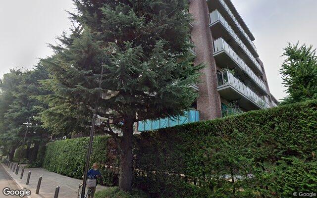 桜堤庭園フェイシアS棟の外観（Googleストリートビュー）