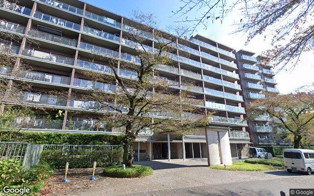 桜堤庭園フェイシアE棟の外観（Googleストリートビュー）
