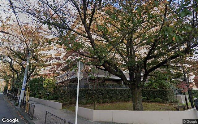 ナイスパークステイツ吉祥寺サウスコートの外観（Googleストリートビュー）