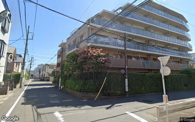 藤和シティホームズ多摩川鵜の木の外観（Googleストリートビュー）
