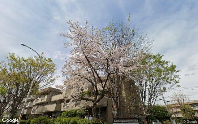 ホームタウン南大沢4-21-1-4号棟の外観（Googleストリートビュー）