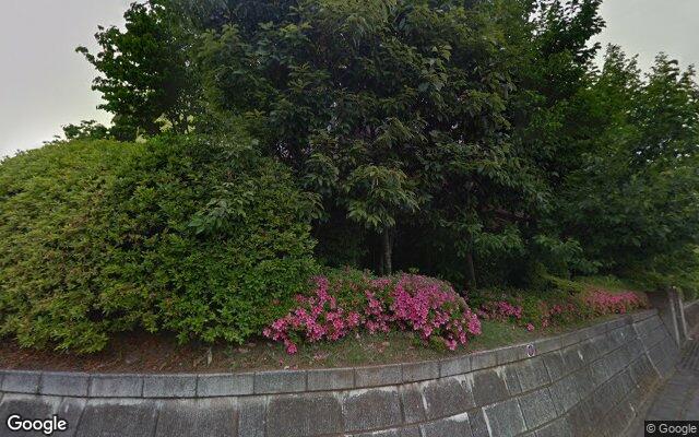 レクセルプラッツァ新八柱の外観（Googleストリートビュー）