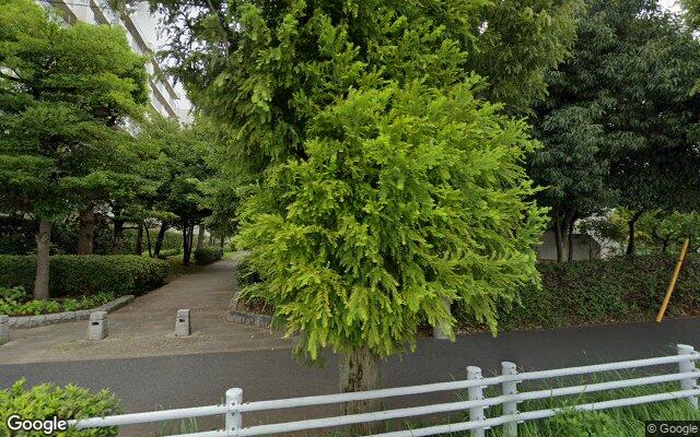 入船西エステート6号棟の外観（Googleストリートビュー）