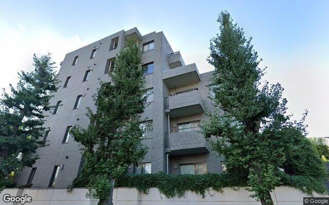 ダイアパレス鳩ヶ谷本町の外観（Googleストリートビュー）