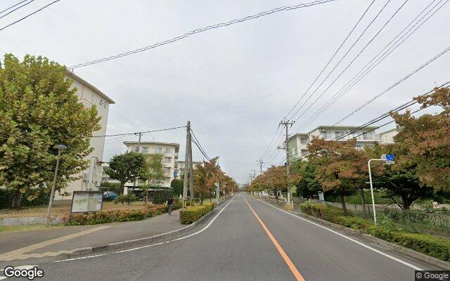 新座団地の外観（Googleストリートビュー）