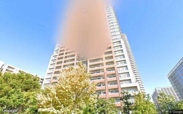 ザ・コスギタワーの外観（Googleストリートビュー）