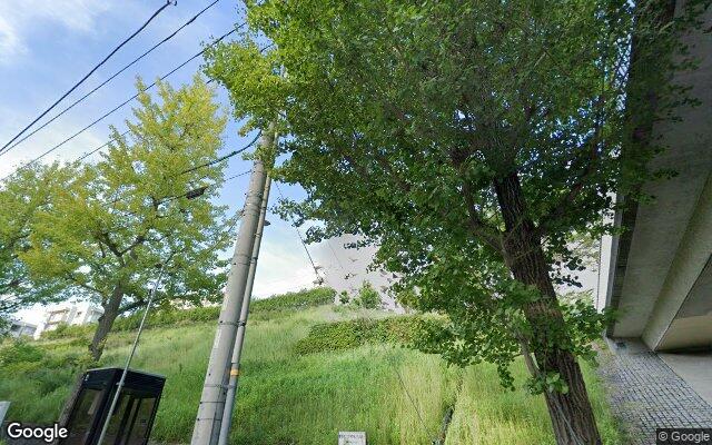 星が丘パークランドふじのき台17号棟の外観（Googleストリートビュー）