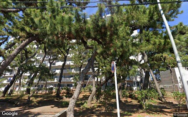 パレ平塚すみれ平壱番館の外観（Googleストリートビュー）