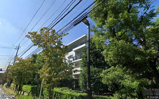 パークシティ溝の口F棟の外観（Googleストリートビュー）