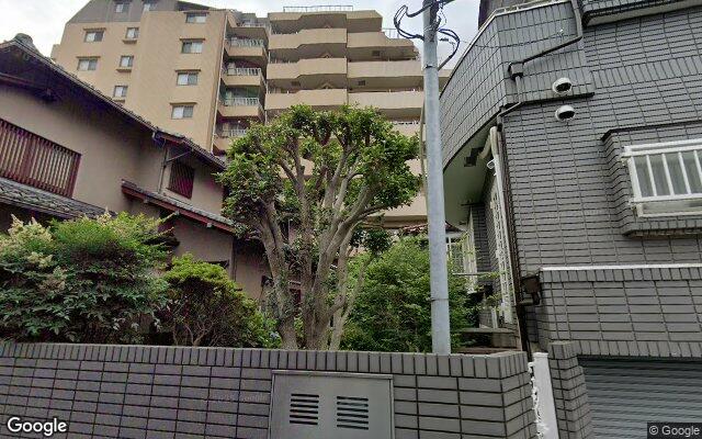 ダイアパレス南大泉の外観（Googleストリートビュー）
