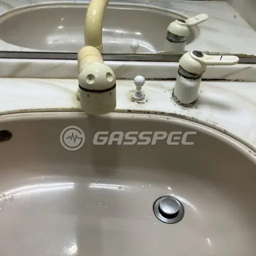 交換前の水栓・蛇口