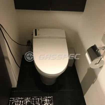 施工前の便座（DV-215）