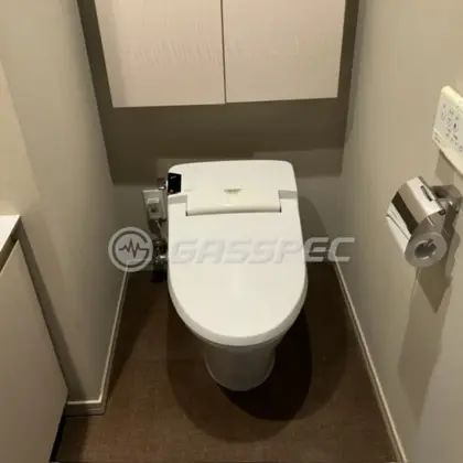 施工前の便座（DV-113X）