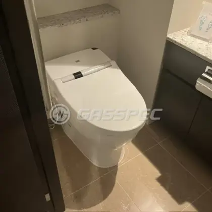 施工前のトイレ（TCF-982F / CS367B）