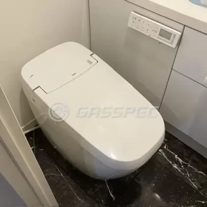 施工前のトイレ（DV-G216P）