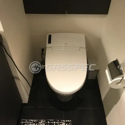 施工後の便座（LIXIL DWV-SB23GP/BW）