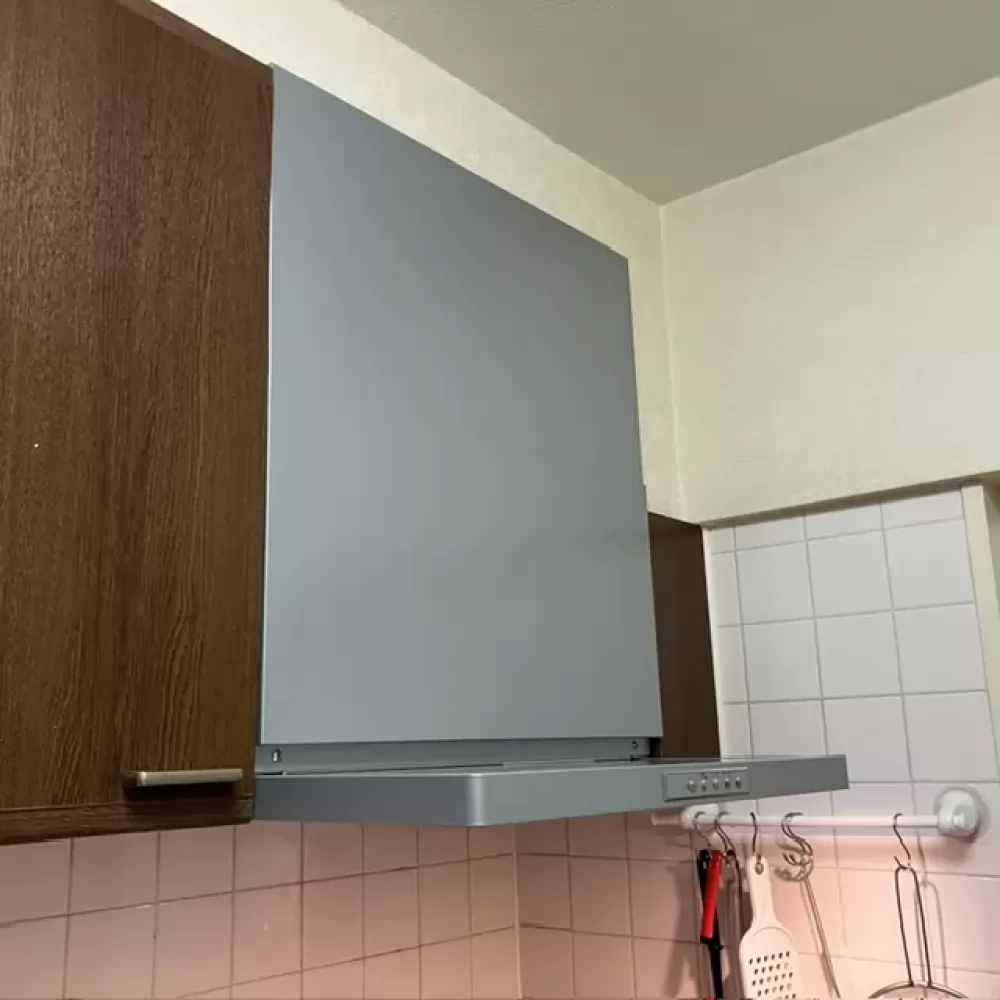 WNBSK608YDXMSIL