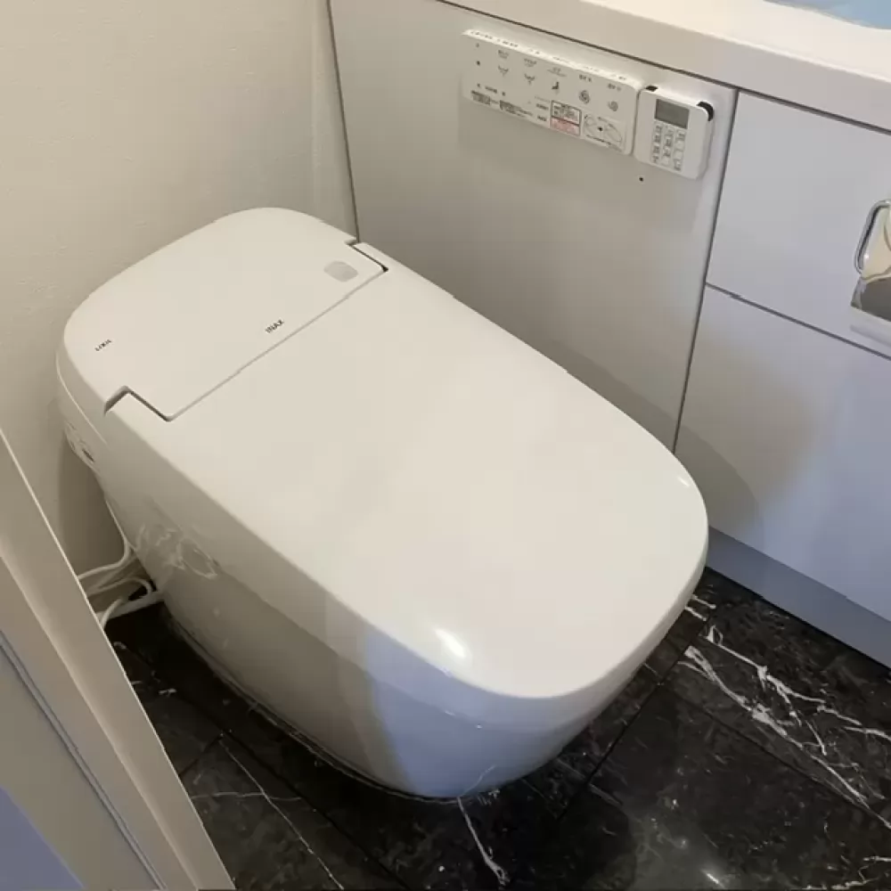 YBC-G30P+DV-G316P_BW1