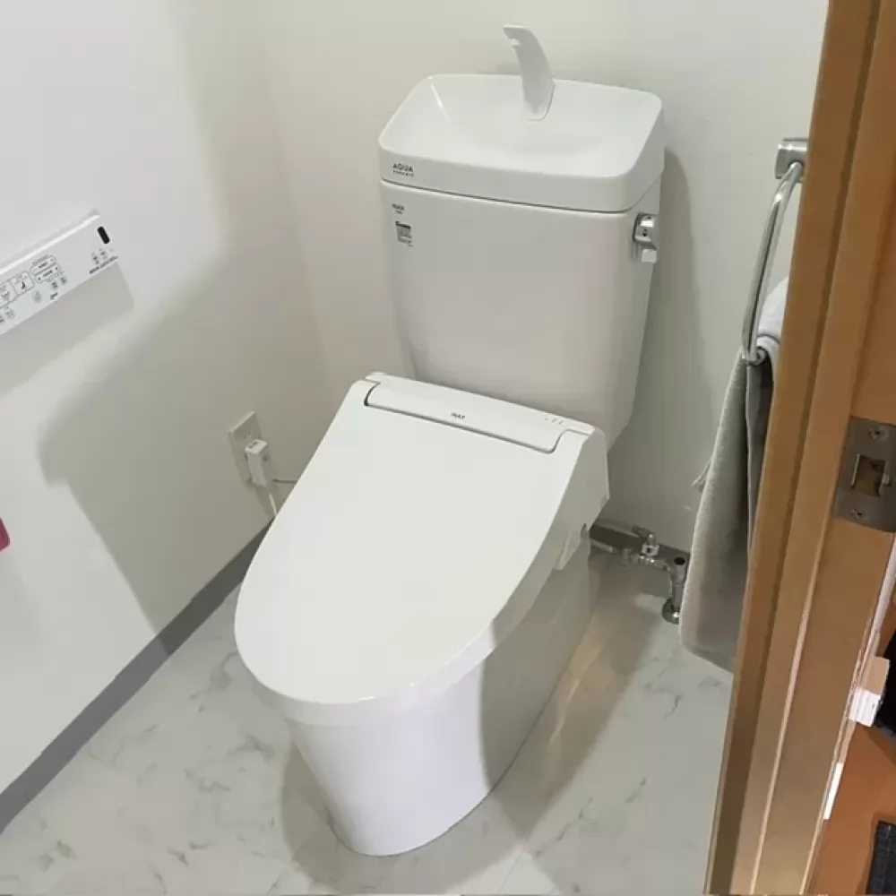 YBC-Z30H+YDT-Z380H_BW1