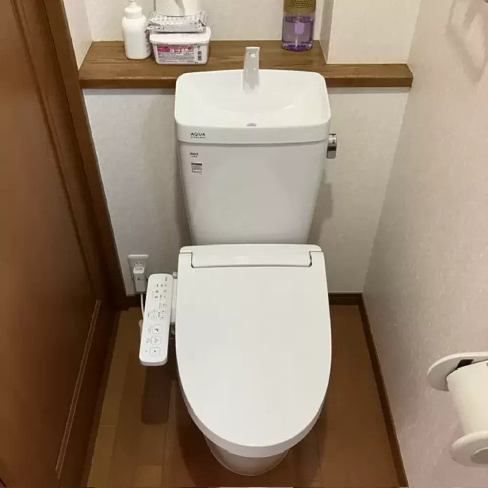 YBC-Z30S+YDT-Z380_BW1