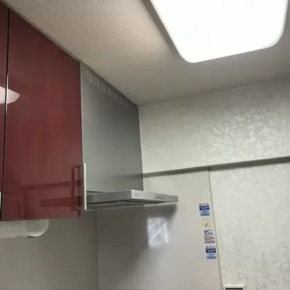 交換後 OGR-REC-AP752LSV