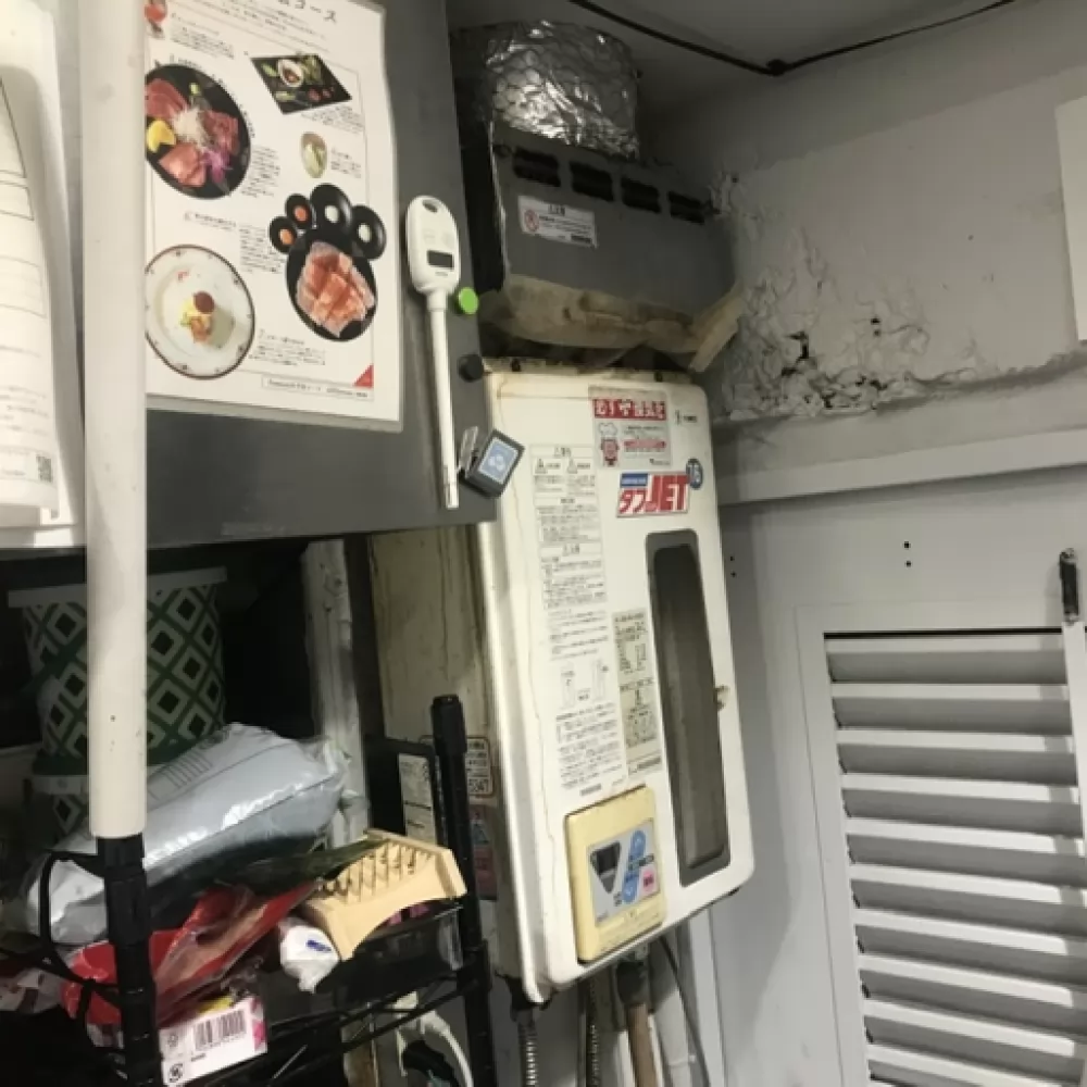 RUXC-V1610SWF-HP