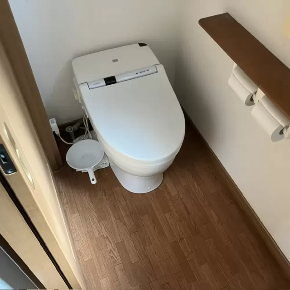 CES9561