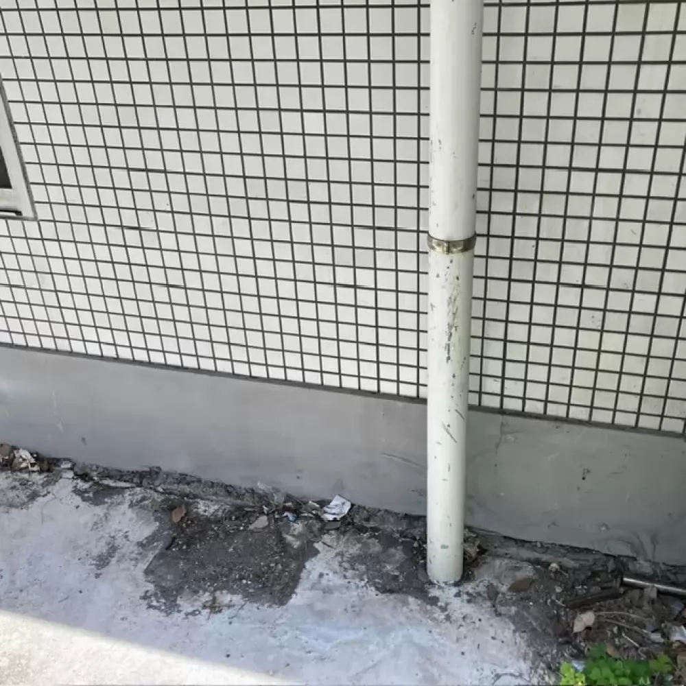 なし