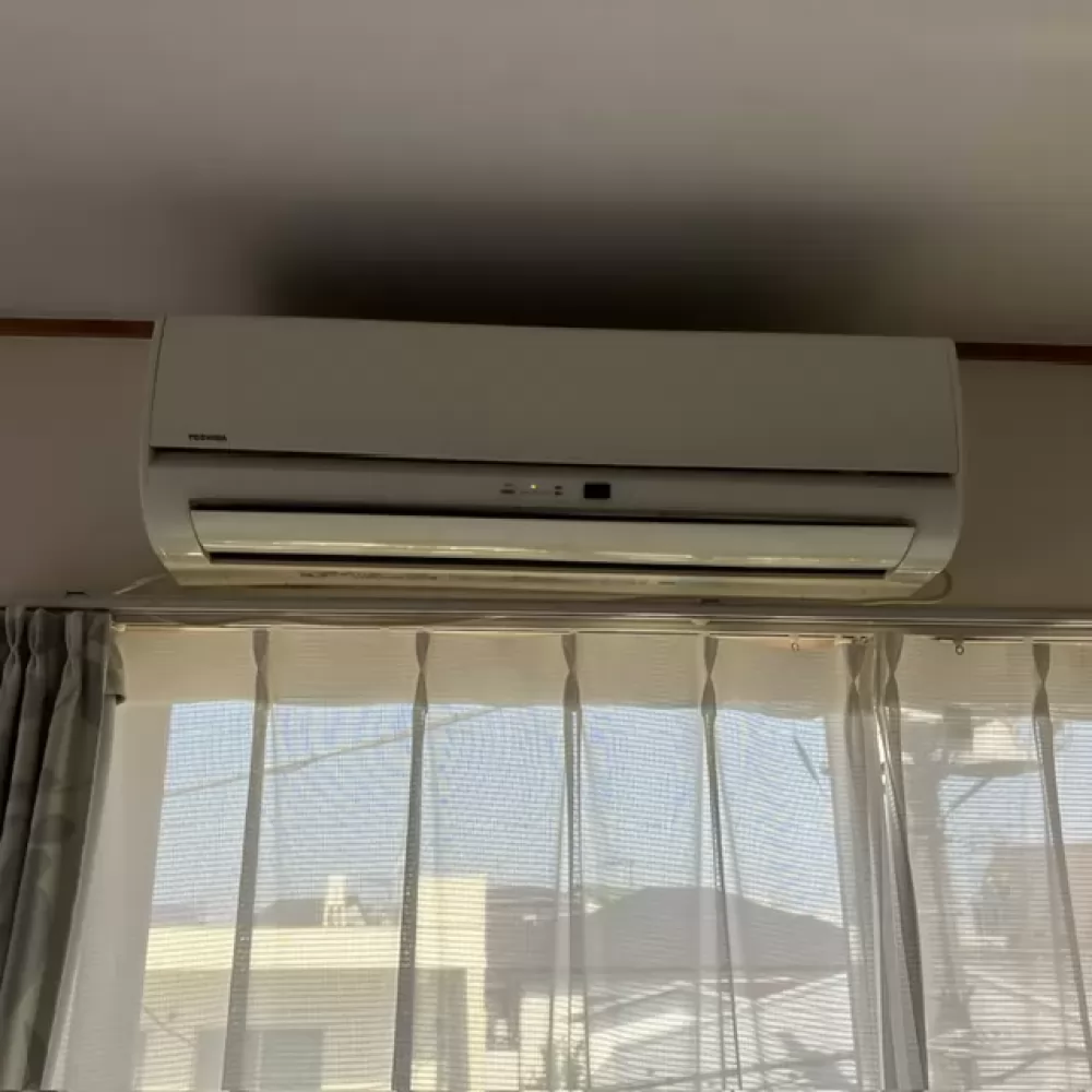 RAS-3613W