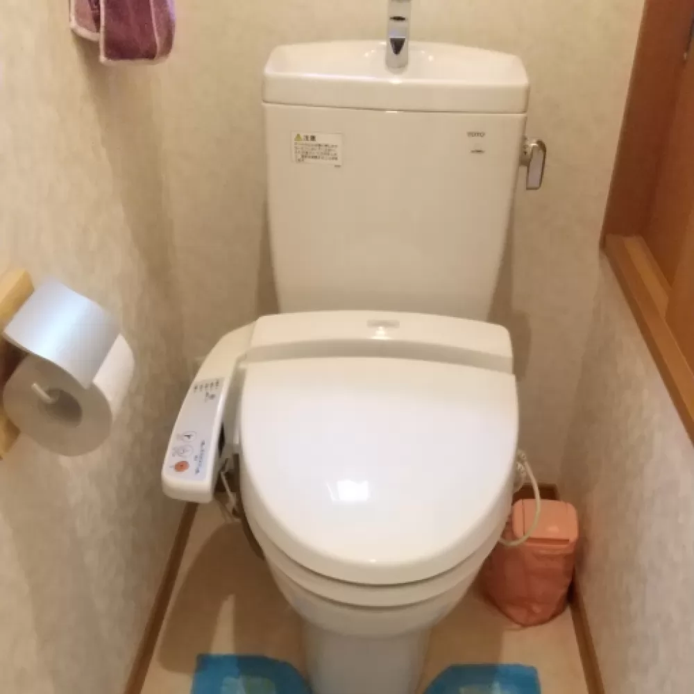 便座TCF2021/便器CS380B