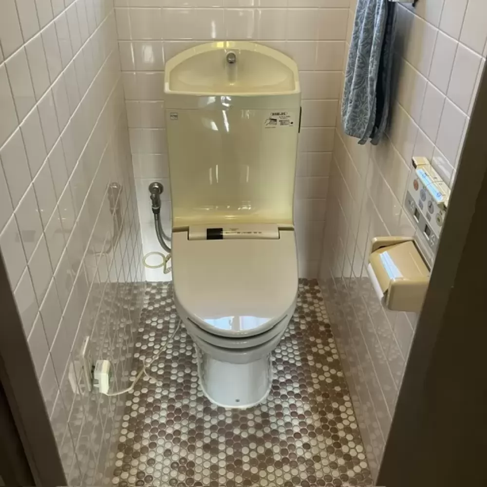 CS978BM/DCS702/TCL9061LE