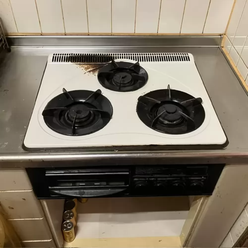 GE-31DT
