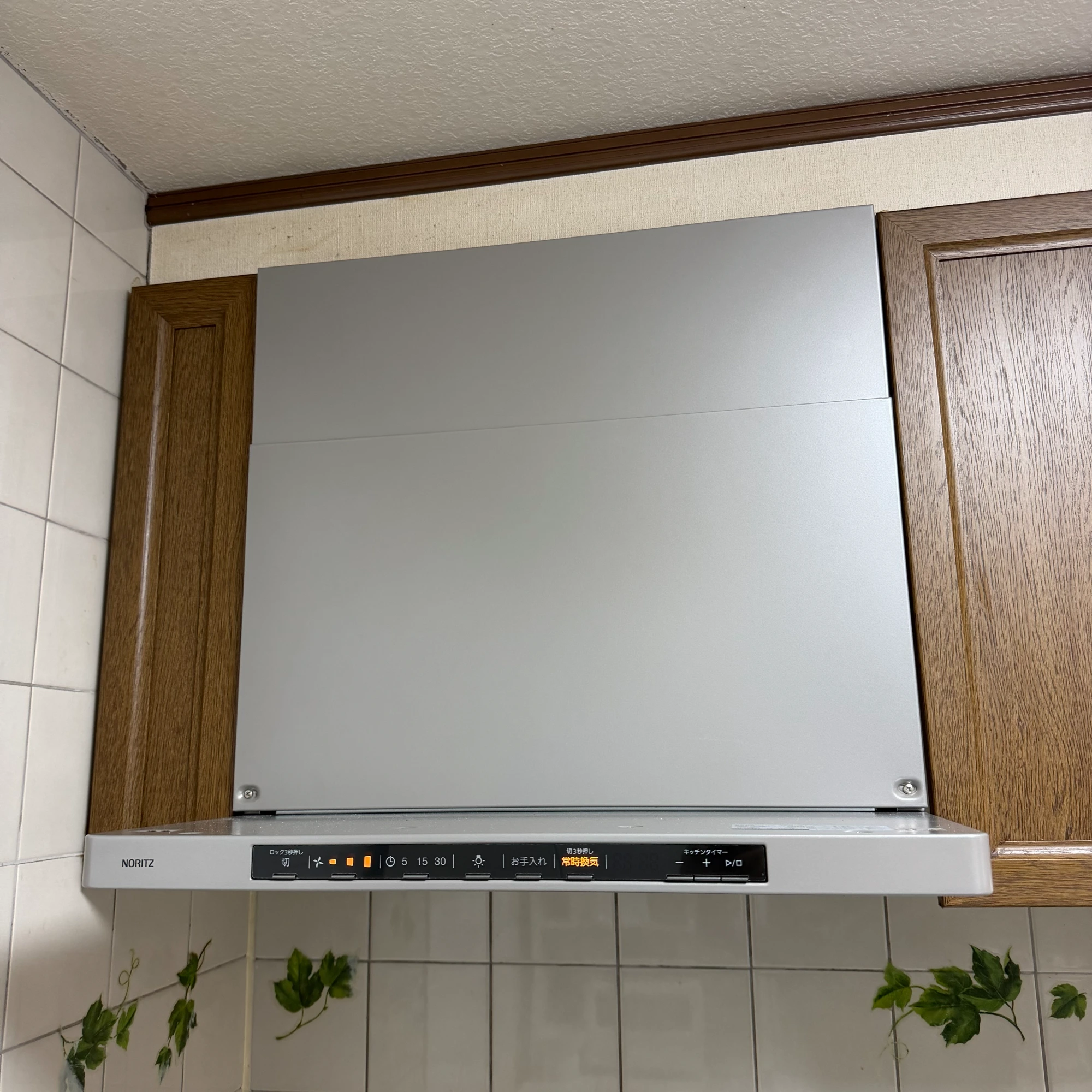 NFG6S25MSV