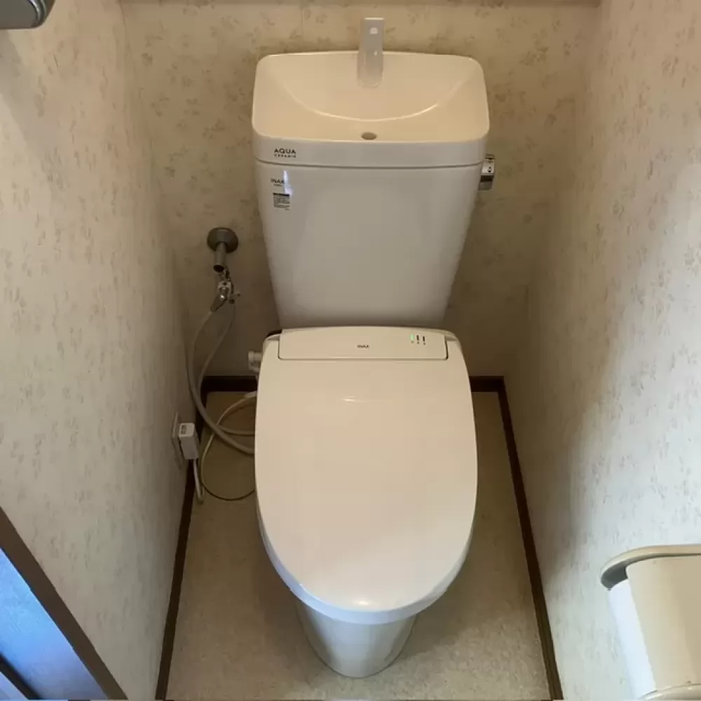 YBC-Z30H+YDT-Z380H_BW1