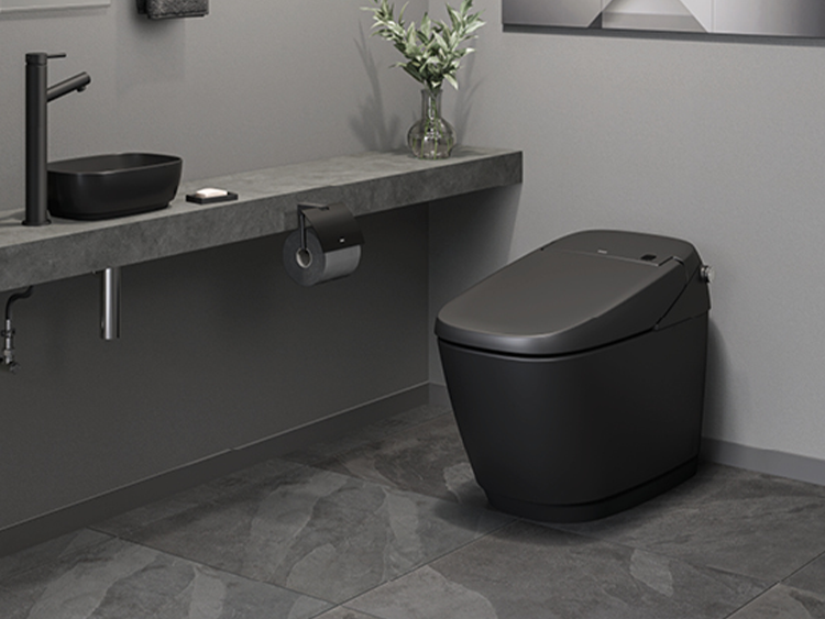 サティスG ノーブルブラックのトイレ空間