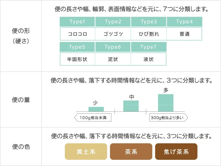 計測項目